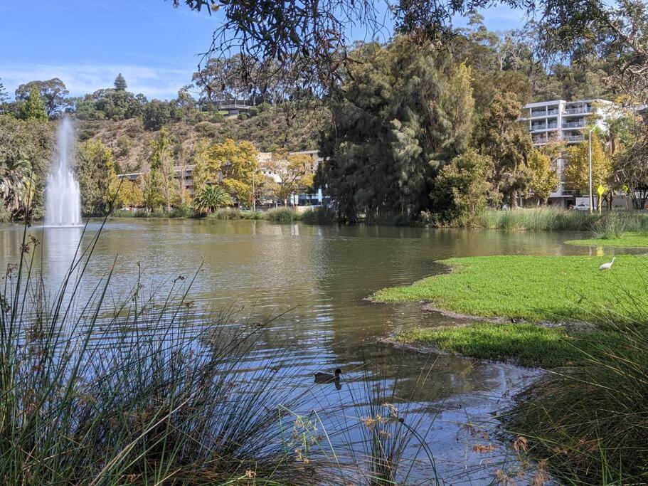 City & Lakeside With Free Parking, Pool And 10 Mins Walk Into The City Perth Ngoại thất bức ảnh